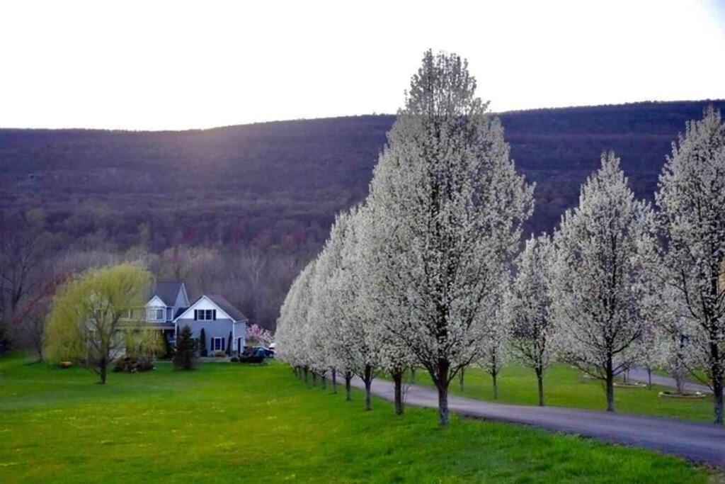 Malkita'S Mountain View Villa Woodbury  Eksteriør billede